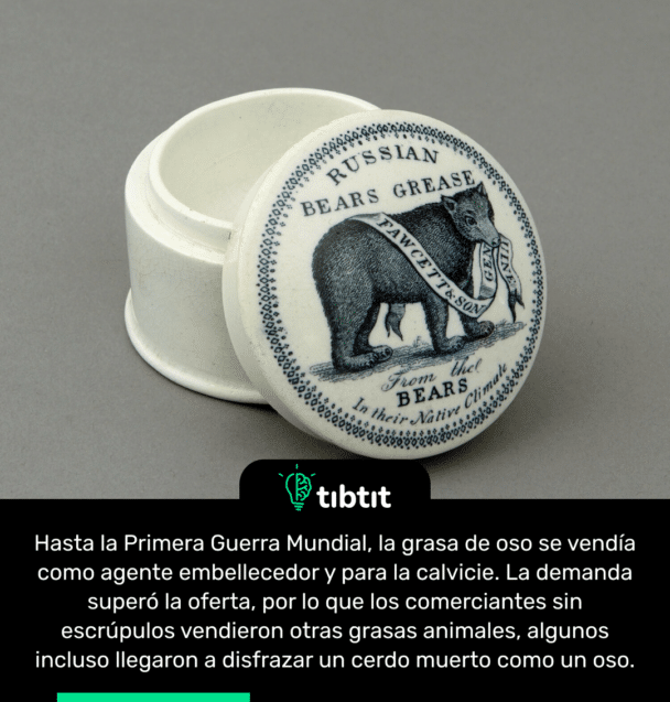 Hasta la Primera Guerra Mundial, la grasa de oso se vendía como agente embellecedor y para la calvicie. La demanda superó la oferta, por lo que los comerciantes sin escrúpulos vendieron otras grasas animales, algunos incluso llegaron a disfrazar un cerdo muerto como un oso.