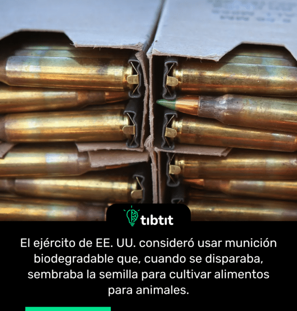 El ejército de EE. UU. consideró usar munición biodegradable que, cuando se disparaba, sembraba la semilla para cultivar alimentos para animales.