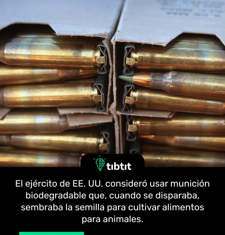 El ejército de EE. UU. consideró usar munición biodegradable que, cuando se disparaba, sembraba la semilla para cultivar alimentos para animales.