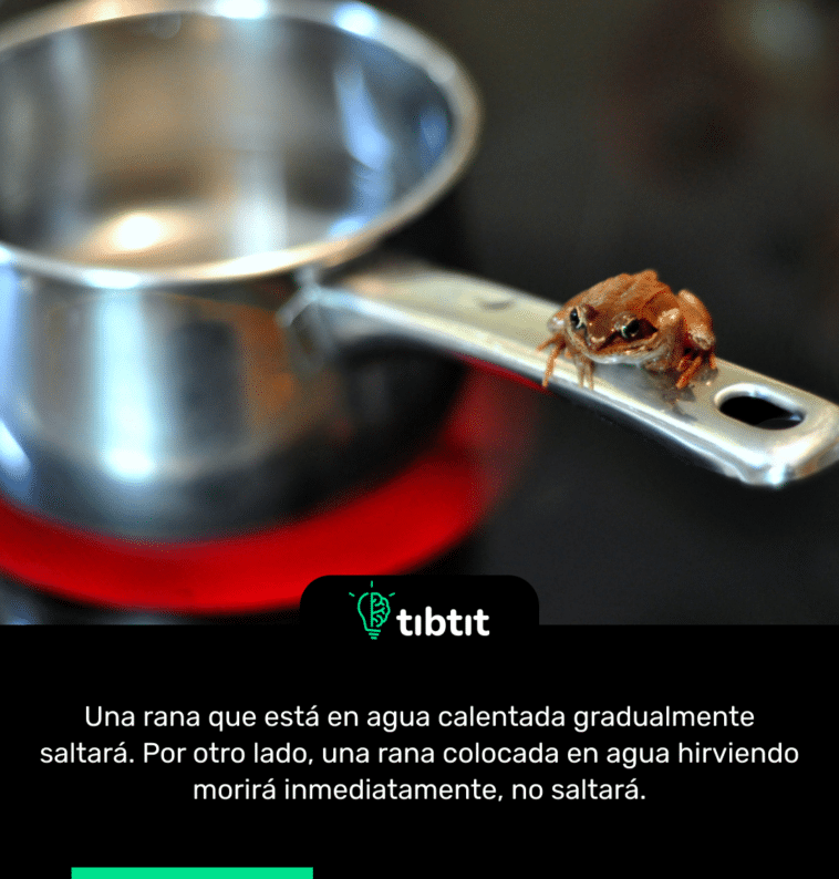 Una rana que está en agua calentada gradualmente saltará. Por otro lado, una rana colocada en agua hirviendo morirá inmediatamente, no saltará.