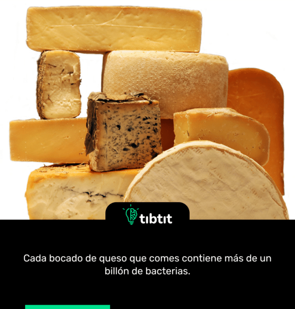 Cada bocado de queso que comes contiene más de un billón de bacterias.