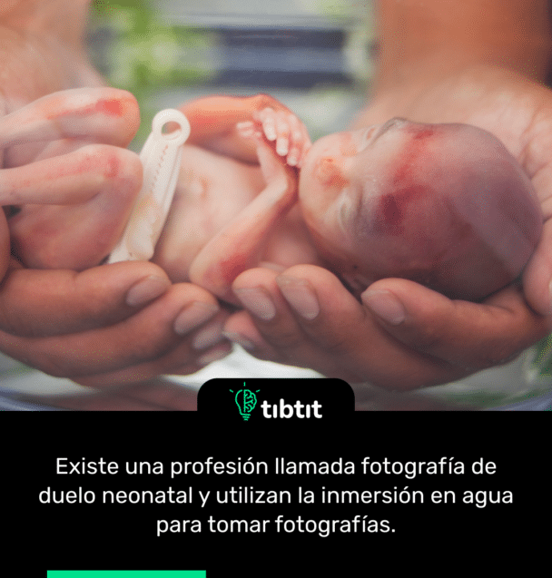 Existe una profesión llamada fotografía de duelo neonatal y utilizan la inmersión en agua para tomar fotografías.