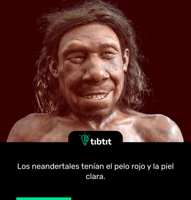 Los neandertales tenían el pelo rojo y la piel clara.