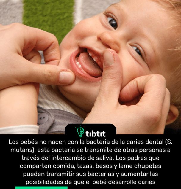 Los bebés no nacen con la bacteria de la caries dental (S. mutans), esta bacteria se transmite de otras personas a través del intercambio de saliva. Los padres que comparten comida, tazas, besos y lame chupetes pueden transmitir sus bacterias y aumentar las posibilidades de que el bebé desarrolle caries.