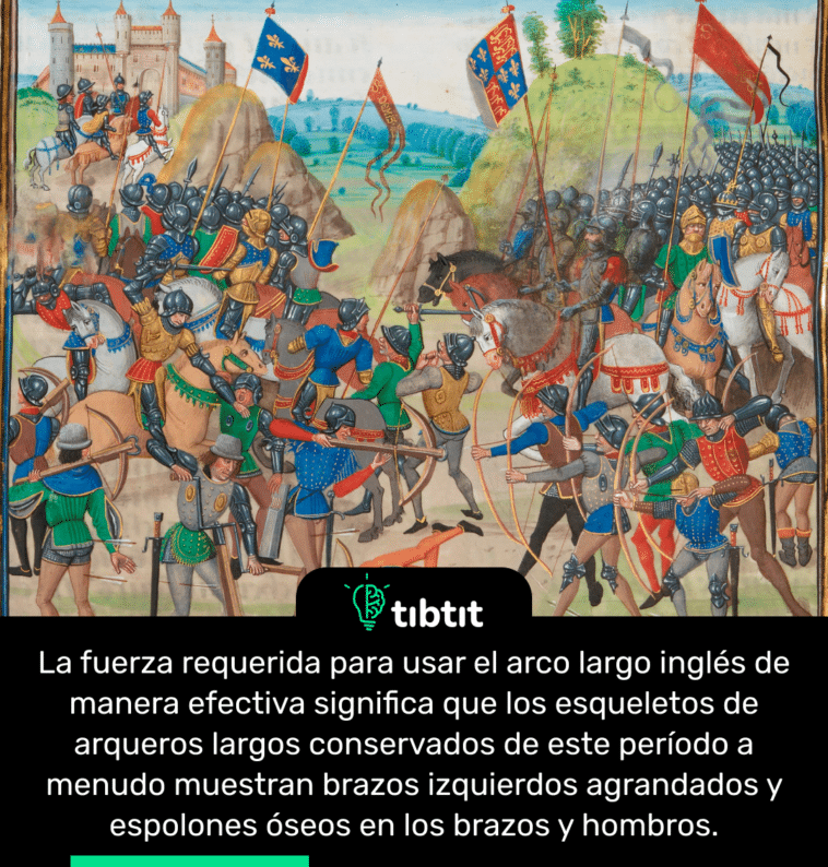 La fuerza requerida para usar el arco largo inglés de manera efectiva significa que los esqueletos de arqueros largos conservados de este período a menudo muestran brazos izquierdos agrandados y espolones óseos en los brazos y hombros.