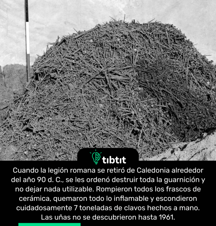 Cuando la legión romana se retiró de Caledonia alrededor del año 90 d. C., se les ordenó destruir toda la guarnición y no dejar nada utilizable. Rompieron todos los frascos de cerámica, quemaron todo lo inflamable y escondieron cuidadosamente 7 toneladas de clavos hechos a mano. Las uñas no se descubrieron hasta 1961.