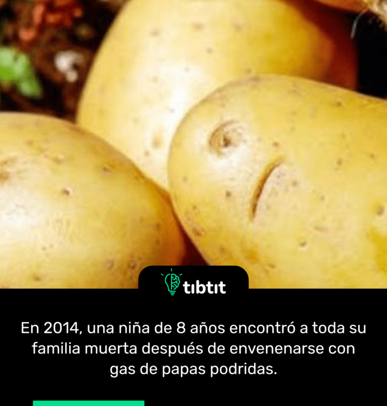 En 2014, una niña de 8 años encontró a toda su familia muerta después de envenenarse con gas de papas podridas.