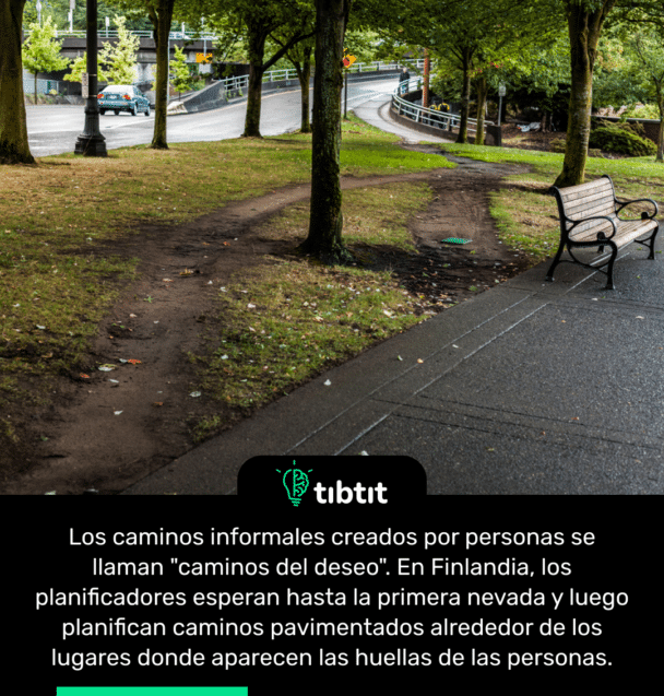 Los caminos informales creados por personas se llaman "caminos del deseo". En Finlandia, los planificadores esperan hasta la primera nevada y luego planifican caminos pavimentados alrededor de los lugares donde aparecen las huellas de las personas.
