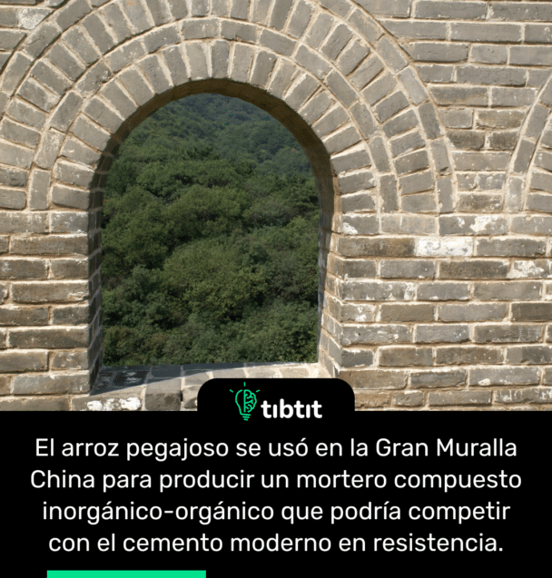 El arroz pegajoso se usó en la Gran Muralla China para producir un mortero compuesto inorgánico-orgánico que podría competir con el cemento moderno en resistencia.