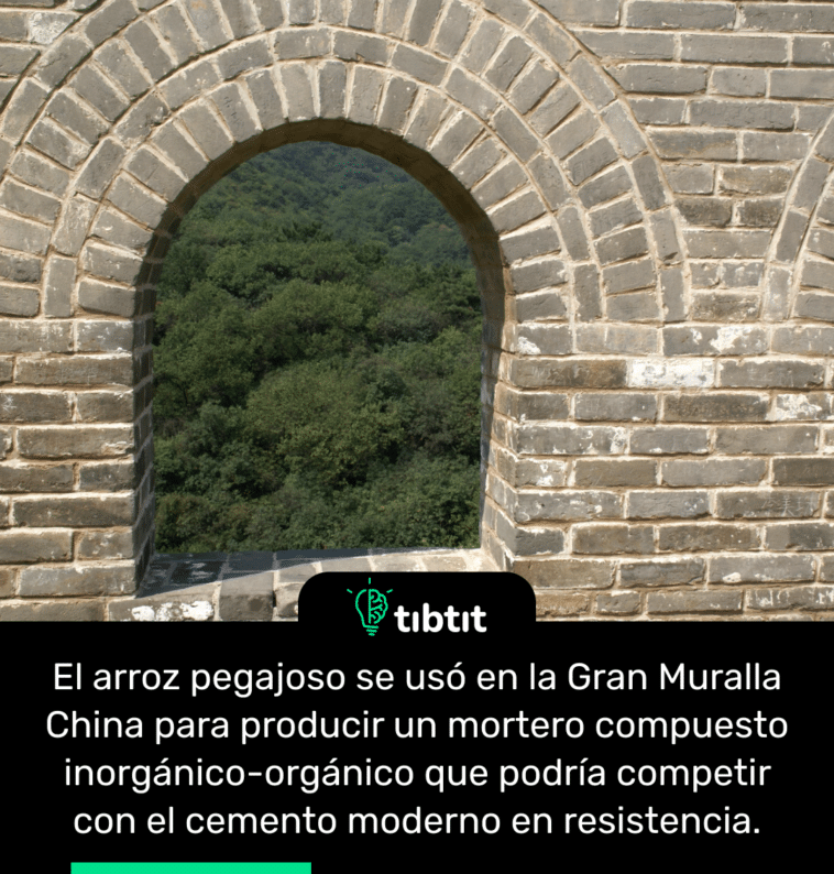 El arroz pegajoso se usó en la Gran Muralla China para producir un mortero compuesto inorgánico-orgánico que podría competir con el cemento moderno en resistencia.