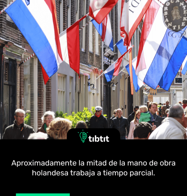 Aproximadamente la mitad de la mano de obra holandesa trabaja a tiempo parcial.