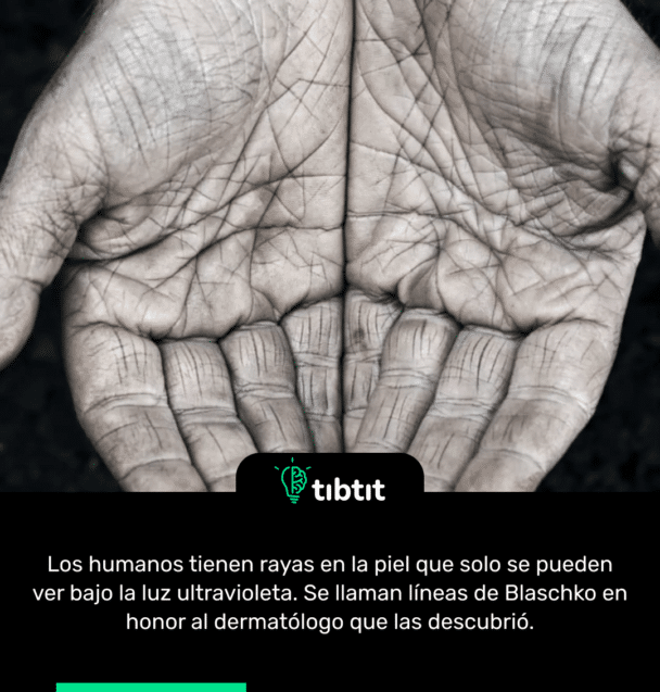 Los humanos tienen rayas en la piel que solo se pueden ver bajo la luz ultravioleta. Se llaman líneas de Blaschko en honor al dermatólogo que las descubrió.