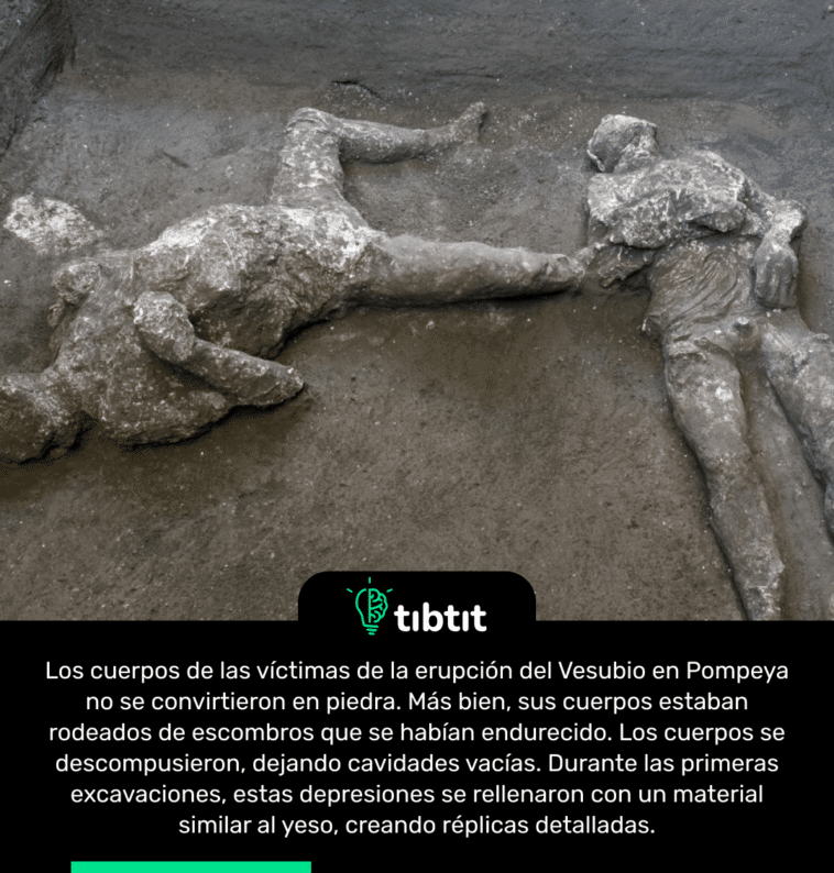 Los cuerpos de las víctimas de la erupción del Vesubio en Pompeya no se convirtieron en piedra. Más bien, sus cuerpos estaban rodeados de escombros que se habían endurecido. Los cuerpos se descompusieron, dejando cavidades vacías. Durante las primeras excavaciones, estas depresiones se rellenaron con un material similar al yeso, creando réplicas detalladas.