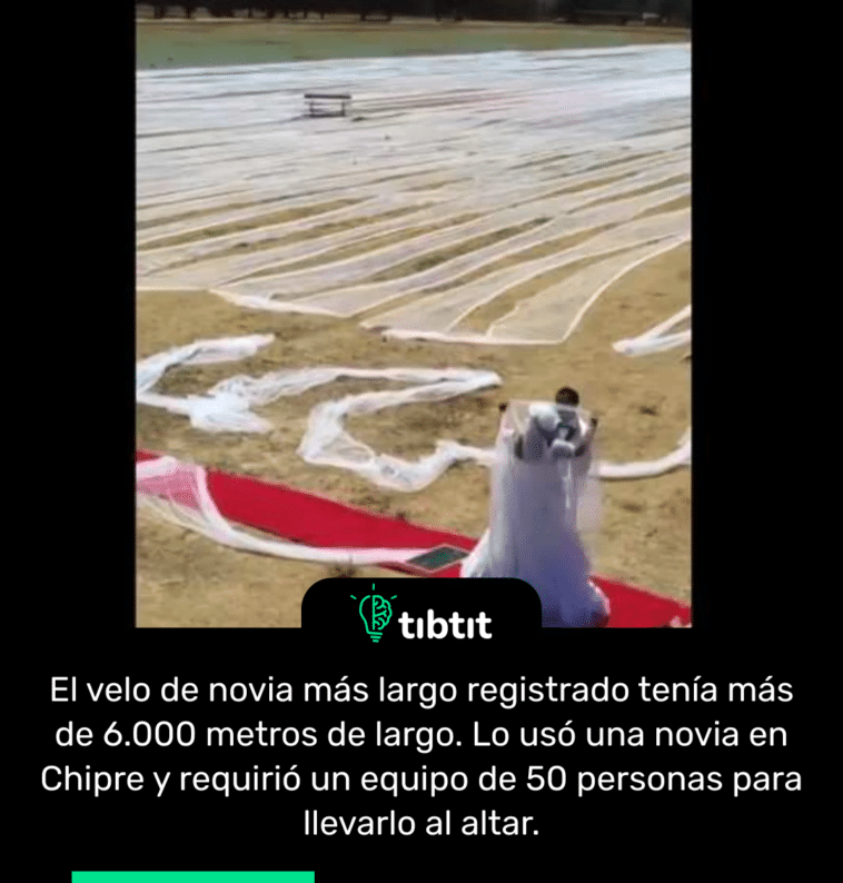 El velo de novia más largo registrado tenía más de 6.000 metros de largo. Lo usó una novia en Chipre y requirió un equipo de 50 personas para llevarlo al altar.