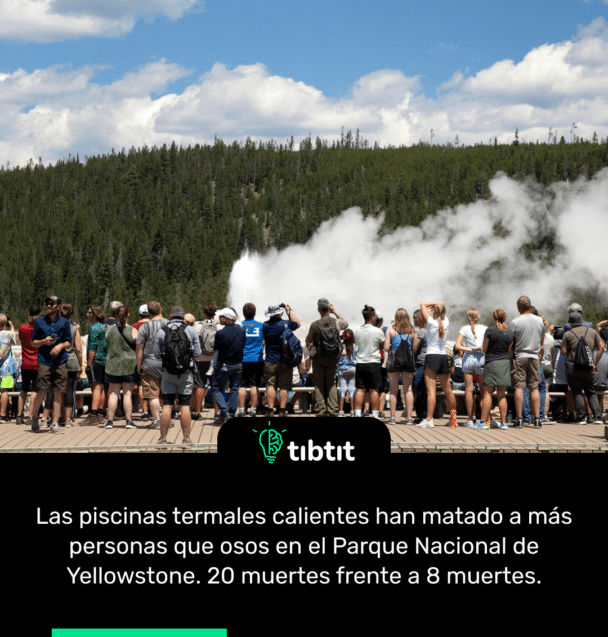 Las piscinas termales calientes han matado a más personas que osos en el Parque Nacional de Yellowstone. 20 muertes frente a 8 muertes.