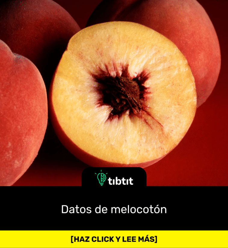 Datos de melocotón