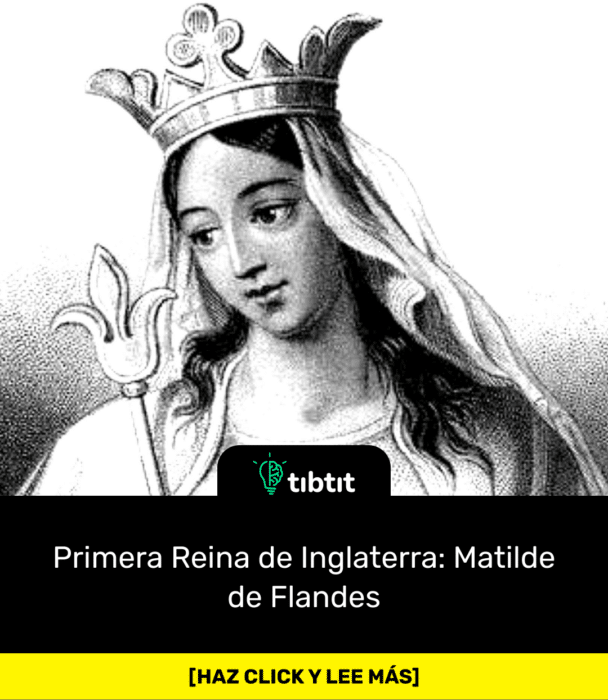 Primera Reina de Inglaterra: Matilde de Flandes