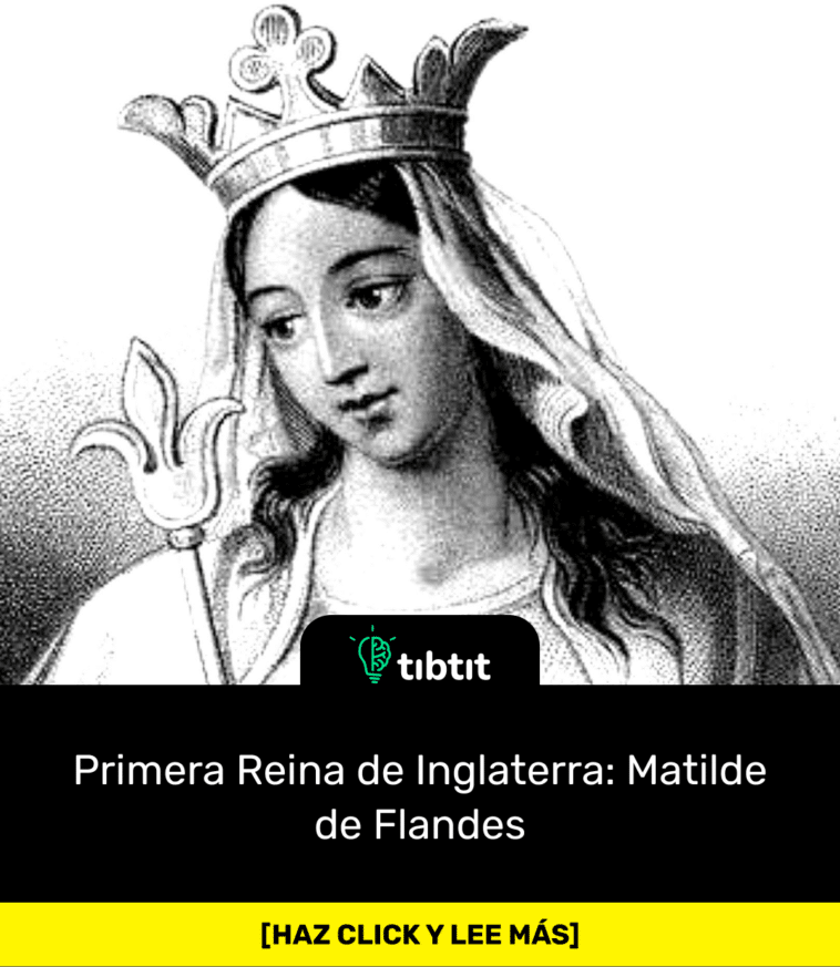 Primera Reina de Inglaterra: Matilde de Flandes