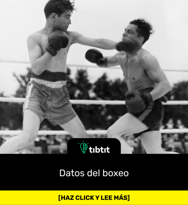Datos del boxeo