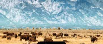 15 datos maravillosos sobre Wyoming