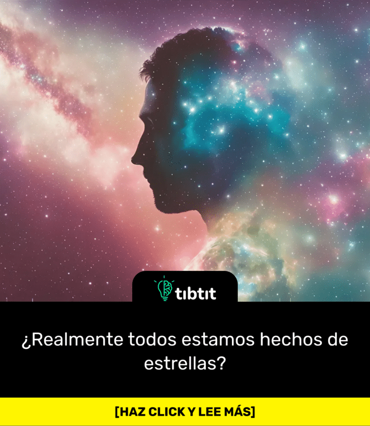 ¿Realmente todos estamos hechos de estrellas?