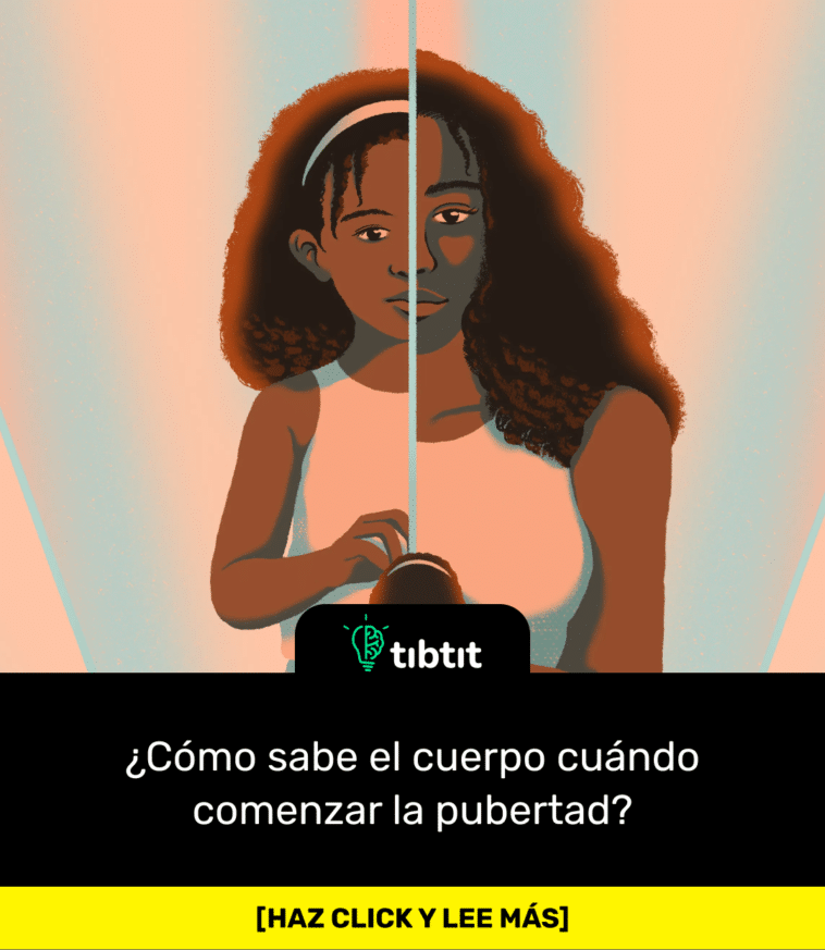 ¿Cómo sabe el cuerpo cuándo comenzar la pubertad?