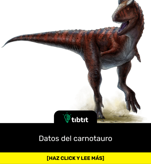 Datos del carnotauro