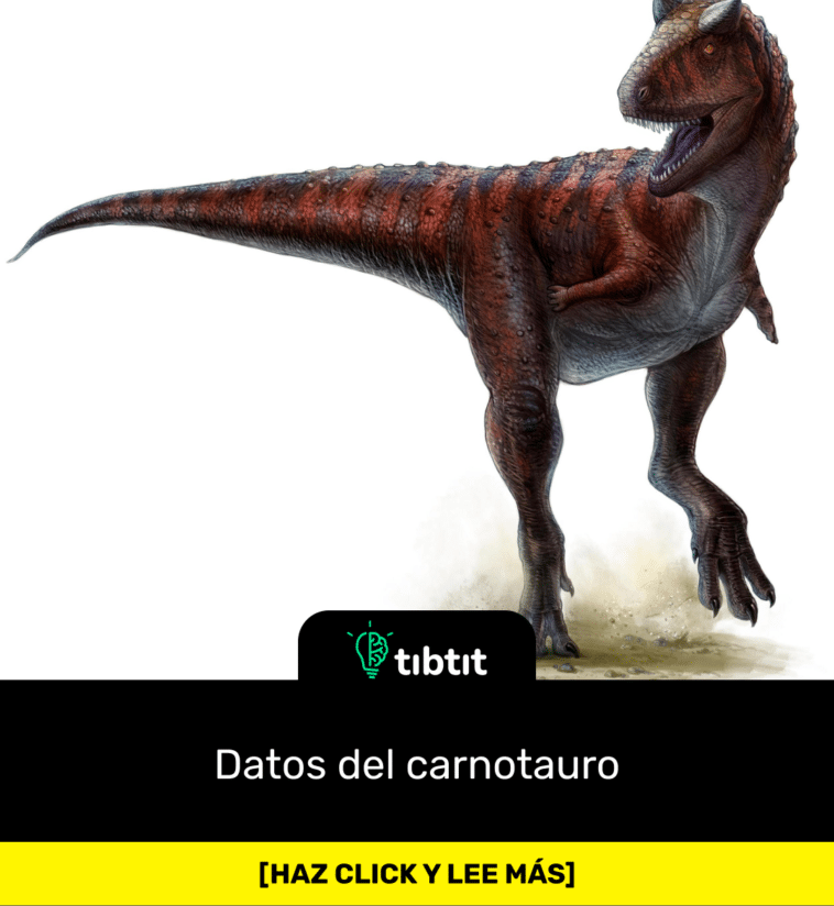 Datos del carnotauro