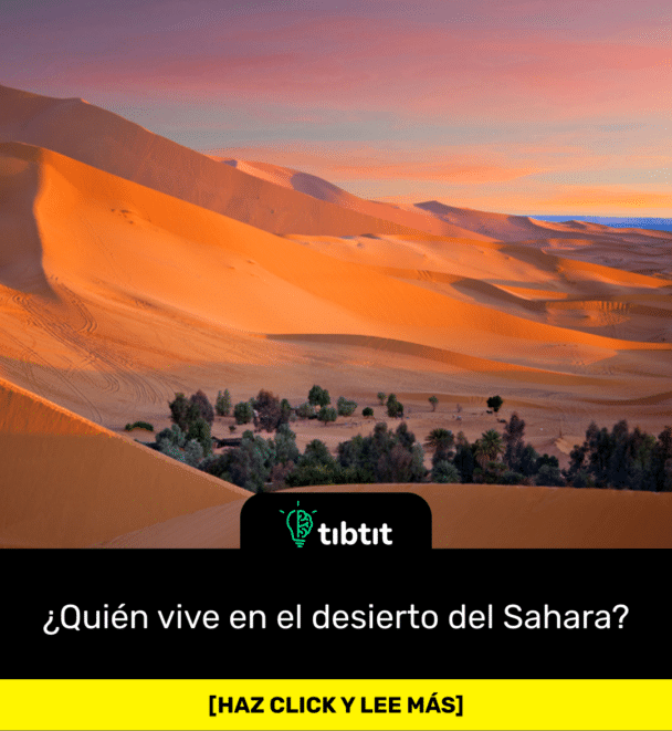 ¿Quién vive en el desierto del Sahara?