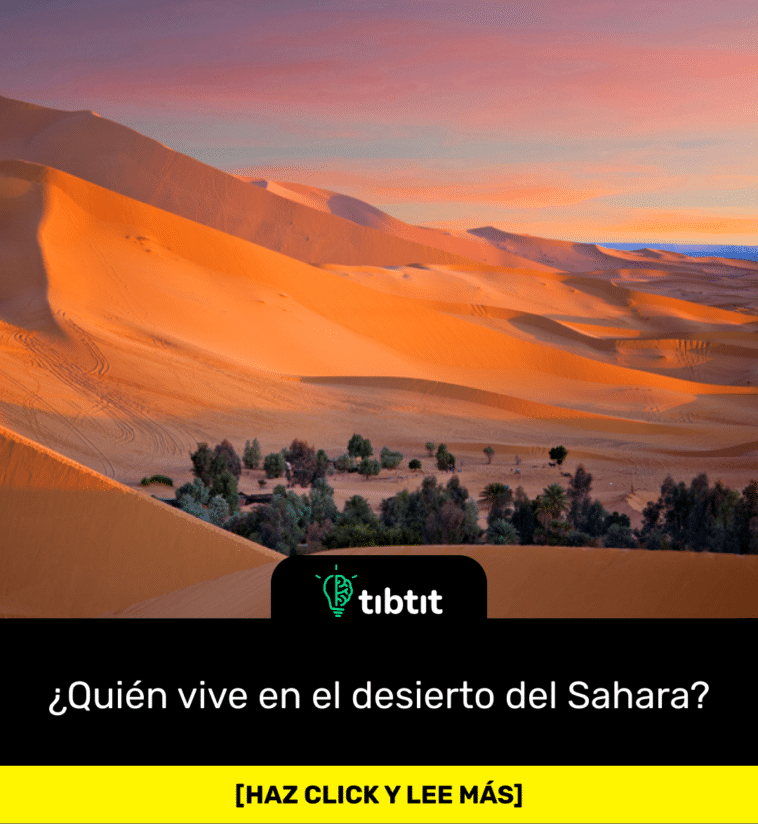 ¿Quién vive en el desierto del Sahara?