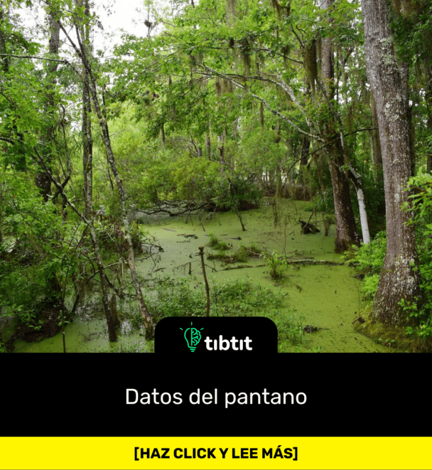 Datos del pantano