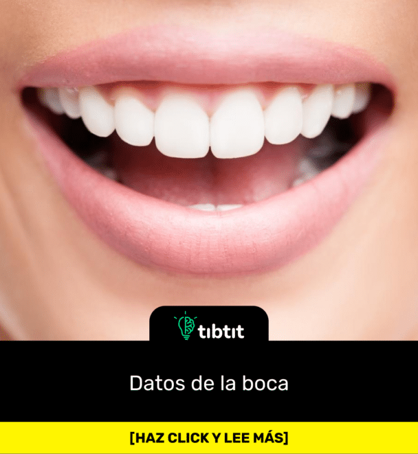 Datos de la boca