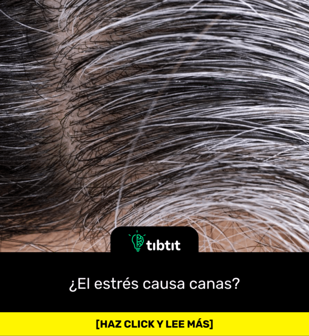¿El estrés causa canas?