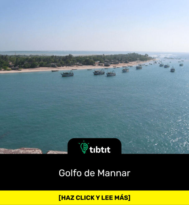 Golfo de Mannar