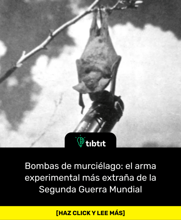 Bombas de murciélago: el arma experimental más extraña de la Segunda Guerra Mundial