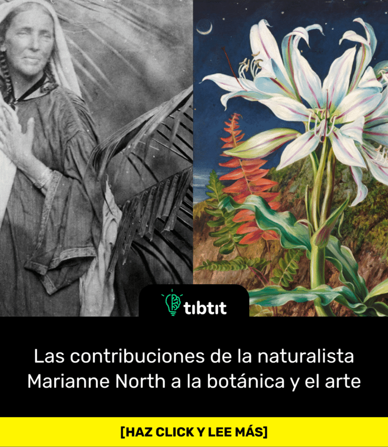 Las contribuciones de la naturalista Marianne North a la botánica y el arte