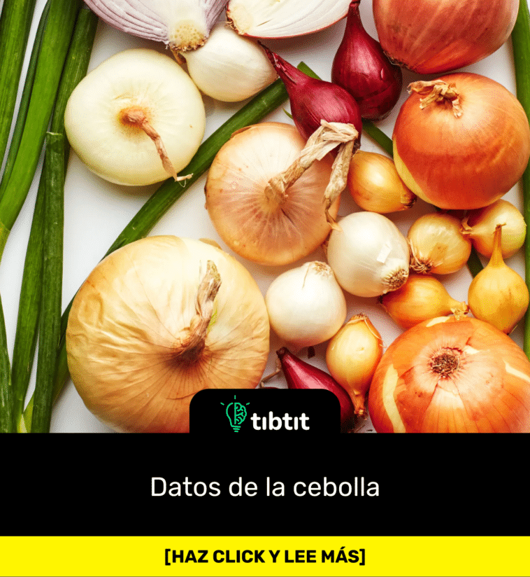 Datos de la cebolla