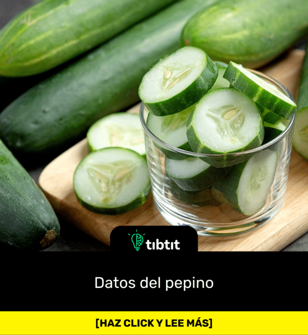 Datos del pepino