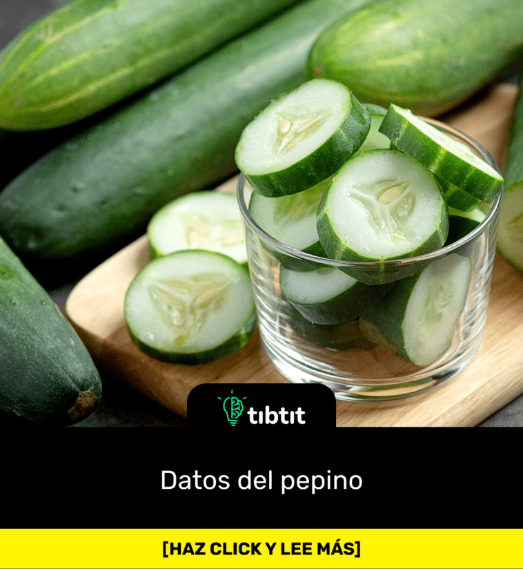 Datos del pepino