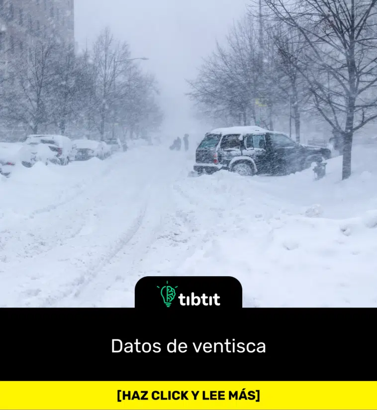 Datos de ventisca