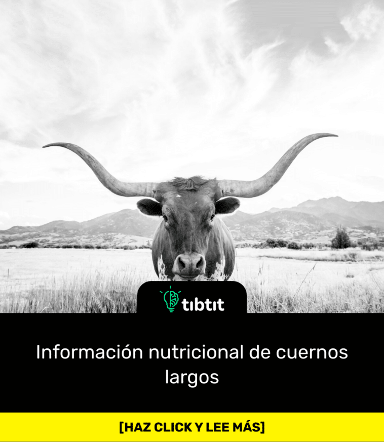 Información nutricional de cuernos largos