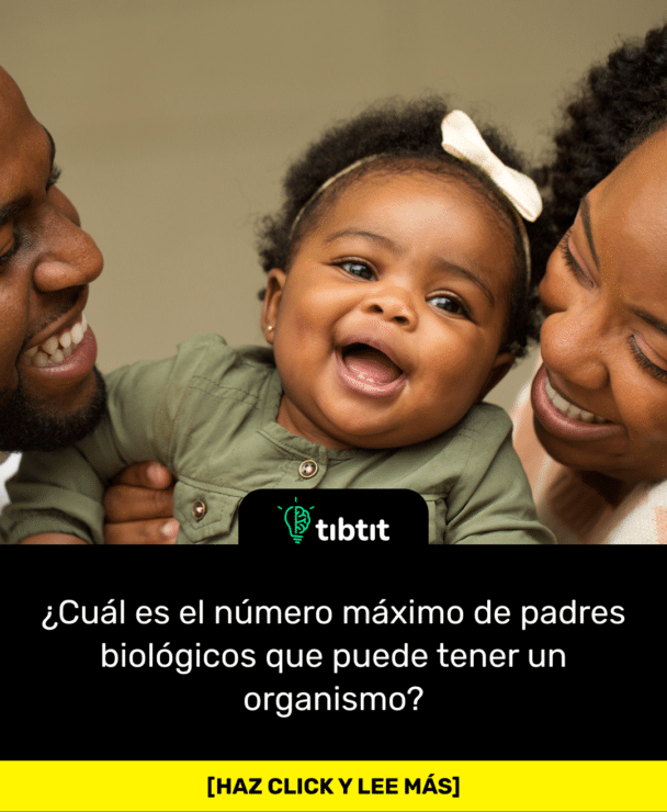 ¿Cuál es el número máximo de padres biológicos que puede tener un organismo?