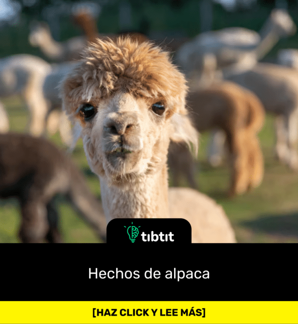 Hechos de alpaca