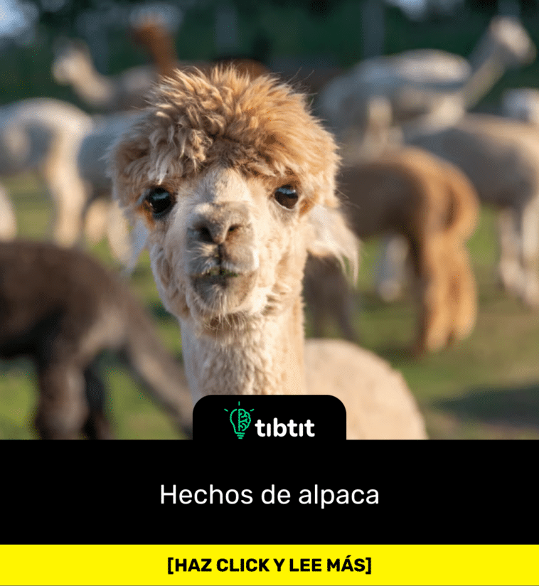 Hechos de alpaca