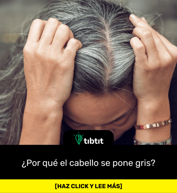 ¿Por qué el cabello se pone gris?