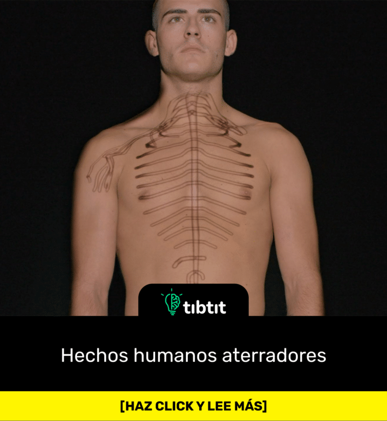 Hechos humanos aterradores