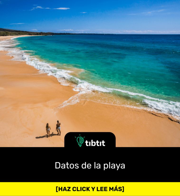 Datos de la playa