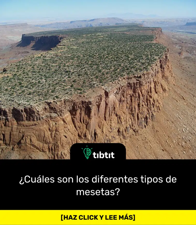 ¿Cuáles son los diferentes tipos de mesetas?