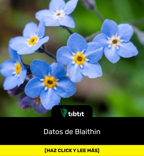 Datos de Blaithin