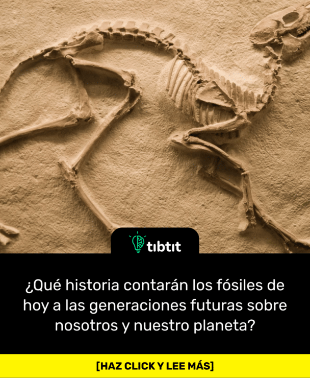 ¿Qué historia contarán los fósiles de hoy a las generaciones futuras sobre nosotros y nuestro planeta?